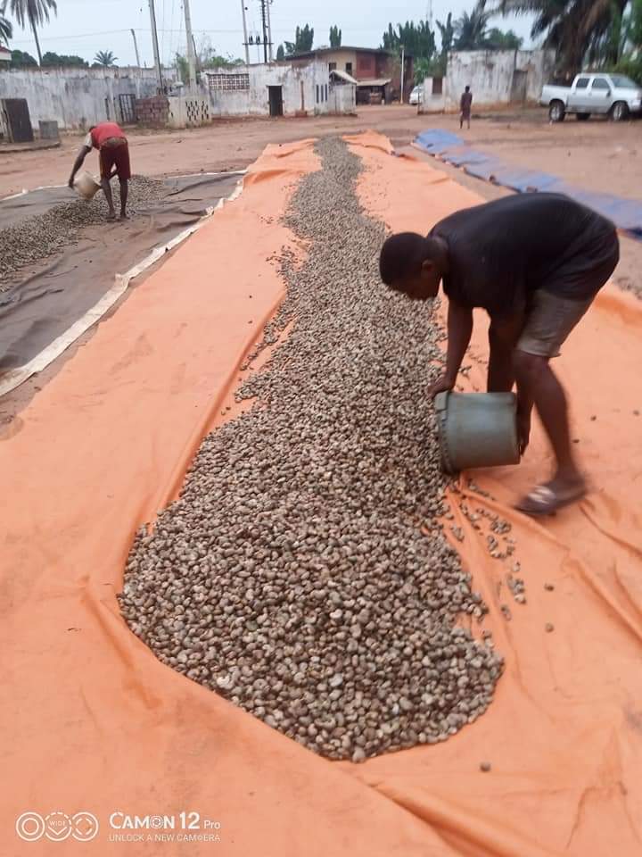 WhatsApp Image 2023-07-17 at 10.16.42 AM